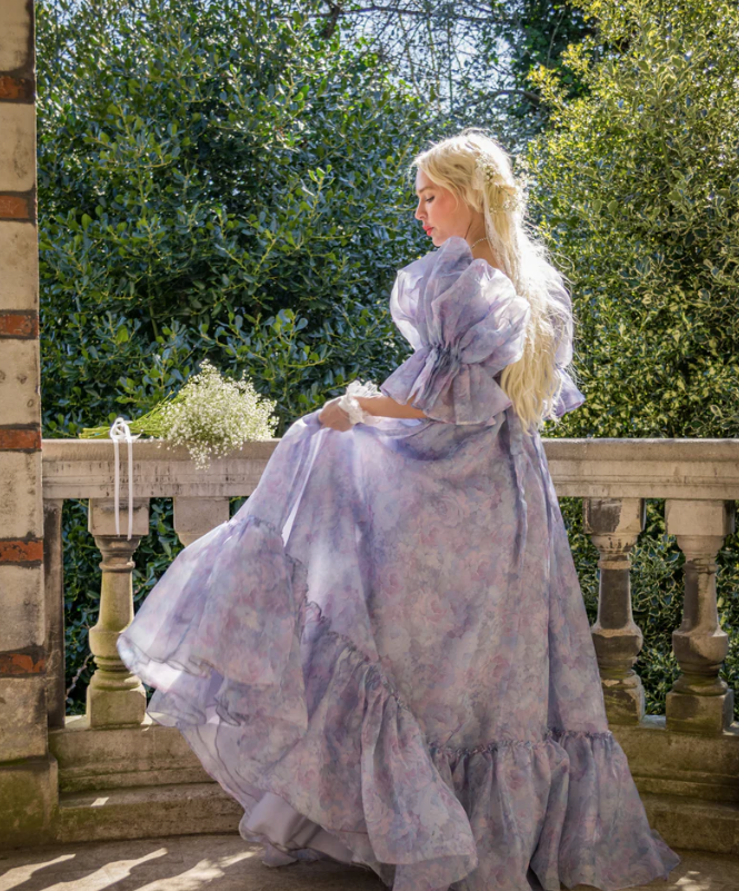 Shabby Chic Belle Gown Sz18 and 24