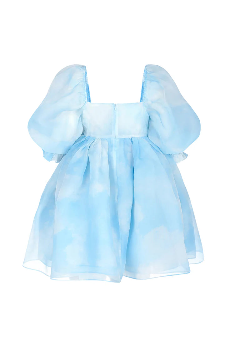 Head in the Clouds Puff Dress 5X
