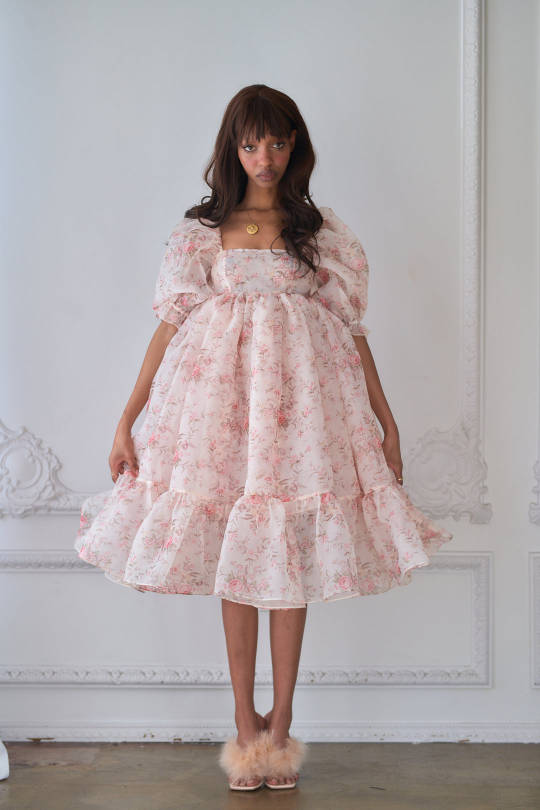 The Renaissance Girl French Puff Dress 6X